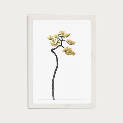 Bombinate.com Bonsai Tree 5 Art Print White Frame