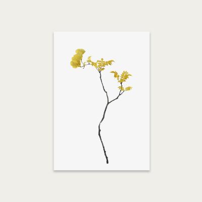 Bombinate.com Flower Minimal Black and Gold 1 Art Print Unframed