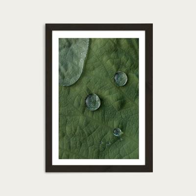 Bombinate.com Lotus Art Print Black Frame