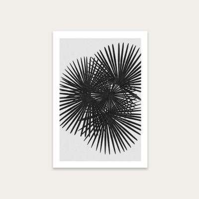 Bombinate.com Fan Palm Black & White Art Print Unframed