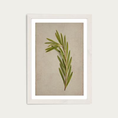 Bombinate.com Fynbos 4 Art Print White Frame