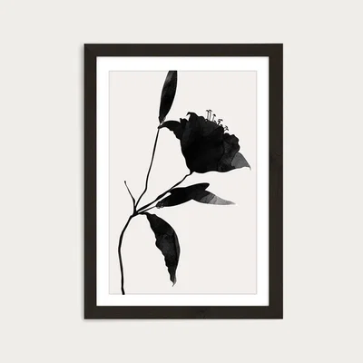 Bombinate.com Nero 2 Art Print Black Frame