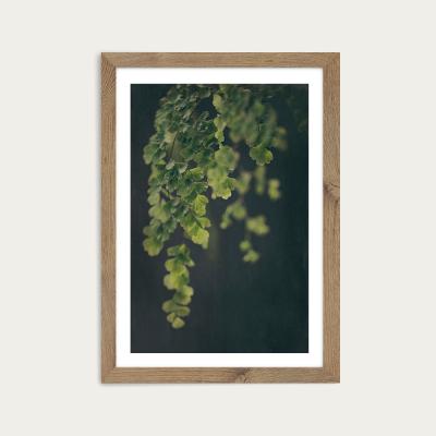 Bombinate.com Dark Foliage 1 Art Print Oak Frame