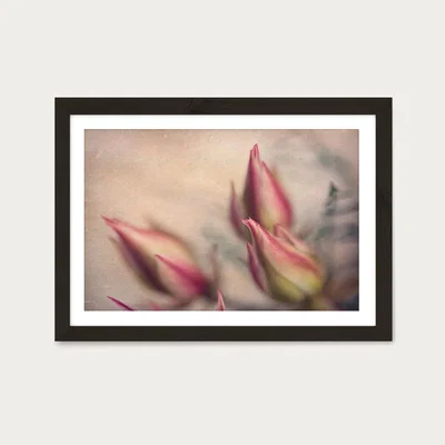 Bombinate.com Blushing Brides LS 1 Art Print Black Frame