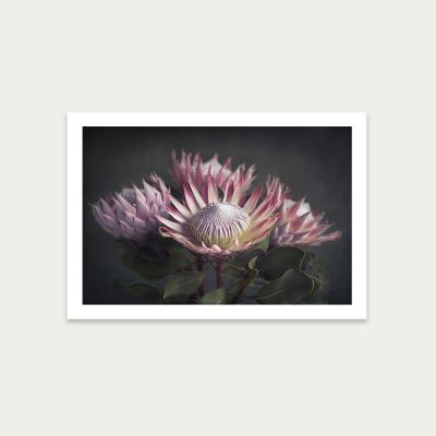Bombinate.com King on Gray 3 Art Print Unframed
