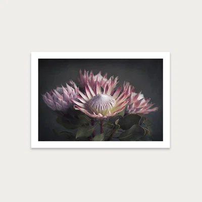 Bombinate.com King on Gray 3 Art Print Unframed