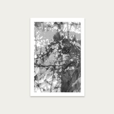 Bombinate.com Research N°002 Art Print Unframed