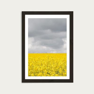 Bombinate.com Grey and Yellow Fields Art Print Black Frame