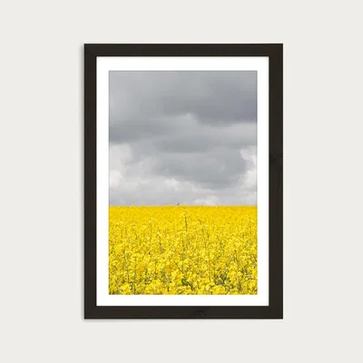 Bombinate.com Grey and Yellow Fields Art Print Black Frame