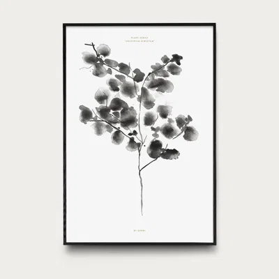 Bombinate.com Cotton Plant