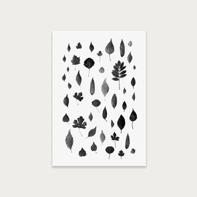 Bombinate.com Signs of Autumn Black Art Print Unframed