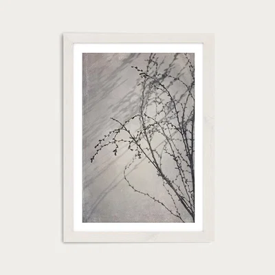 Bombinate.com Shadowplay 4 Art Print White Frame