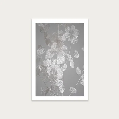 Bombinate.com Honesty - A Branch of Dried Flowers Art Print Unframed