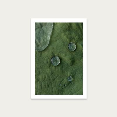 Bombinate.com Lotus Art Print Unframed
