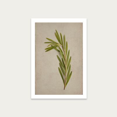 Bombinate.com Fynbos 4 Art Print Unframed