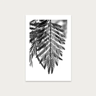 Bombinate.com Delicate and Beautiful Plants Art Print Unframed