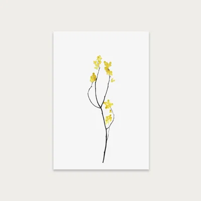Bombinate.com Flower Minimal Black and Gold 9 Art Print Unframed