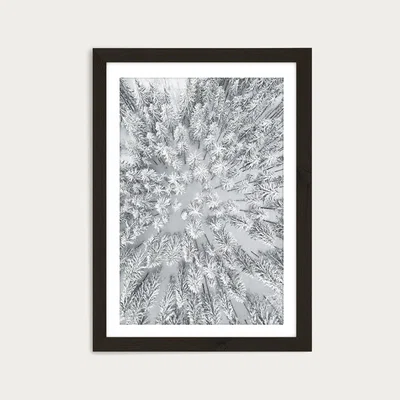 Bombinate.com Snowy Forests Art Print Black Frame