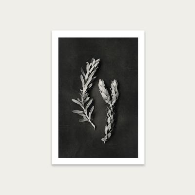Bombinate.com Monochrome Pins 2 Art Print Unframed