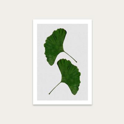 Bombinate.com Ginkgo Leaf II Art Print Unframed