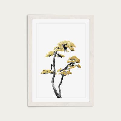 Bombinate.com Bonsai Tree 6 Art Print White Frame