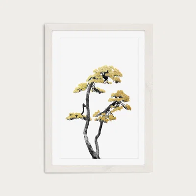 Bombinate.com Bonsai Tree 6 Art Print White Frame