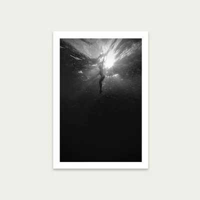 Bombinate.com Diving Deep Art Print Unframed