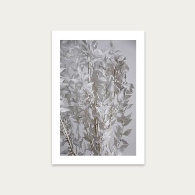 Bombinate.com White Sunny Leafs Art Print Unframed