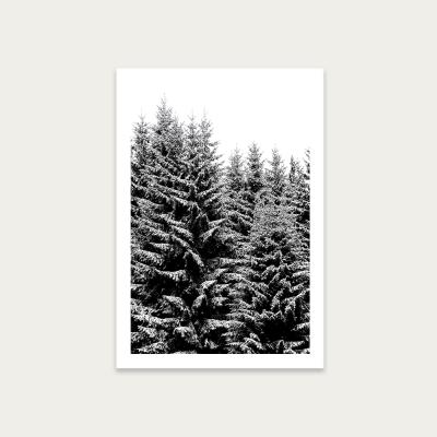 Bombinate.com Snowy Christmas Trees Art Print Unframed
