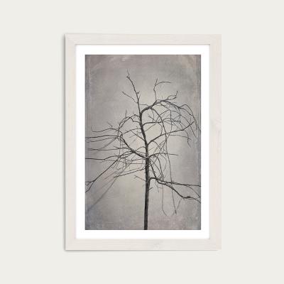 Bombinate.com Shadowplay 3 Art Print White Frame