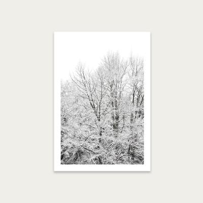 Bombinate.com When Green Turns White Art Print Unframed