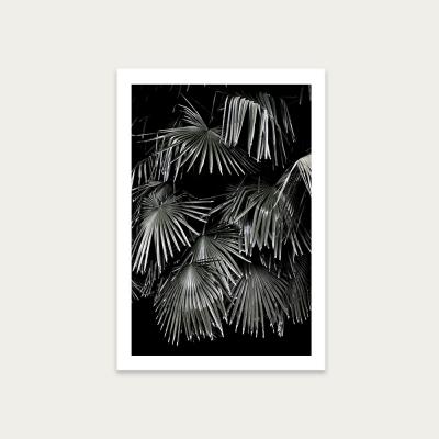 Bombinate.com Tropical Garden 5I5 Art Print Unframed