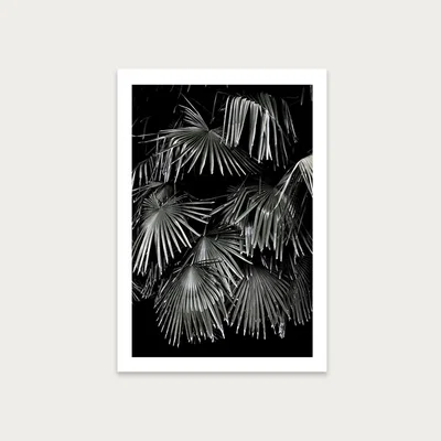 Bombinate.com Tropical Garden 5I5 Art Print Unframed