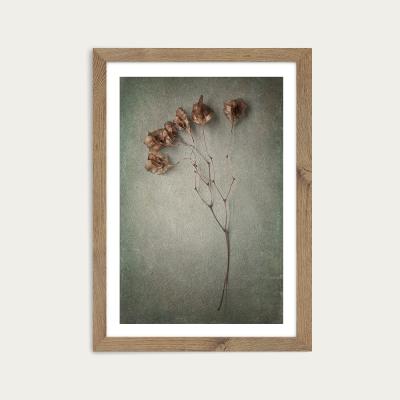 Bombinate.com Foraged 2 Art Print Oak Frame