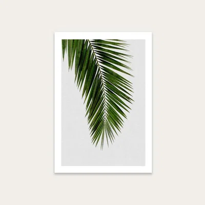 Bombinate.com Palm Leaf I Art Print Unframed