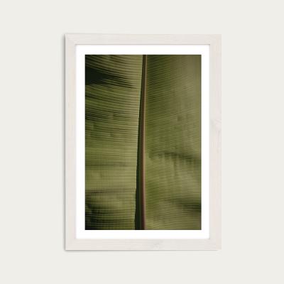 Bombinate.com Tropical Banana Art Print White Frame
