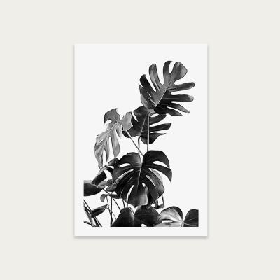 Bombinate.com Monstera Black and White 9 Art Print Unframed