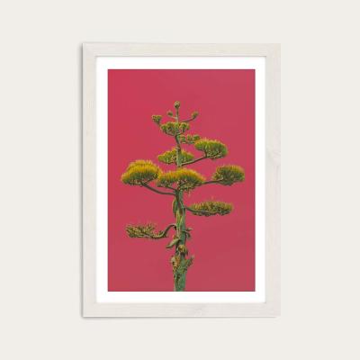 Bombinate.com Mexico Art Print White Frame