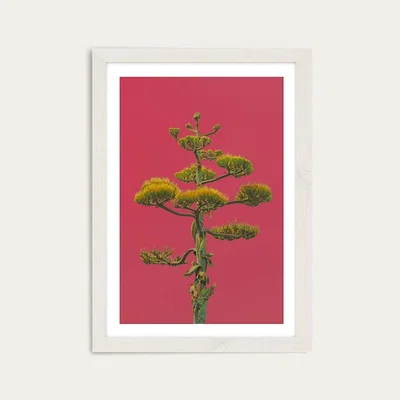 Bombinate.com Mexico Art Print White Frame
