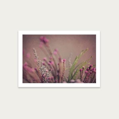 Bombinate.com Warm Fynbos 4 Art Print Unframed
