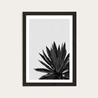 Bombinate.com Agave Cactus Black & White Art Print Black Frame