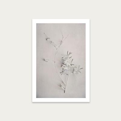 Bombinate.com Alabaster Forest 5 Art Print Unframed