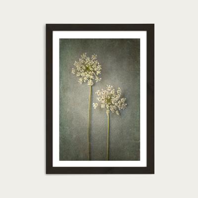 Bombinate.com Foraged 3 Art Print Black Frame