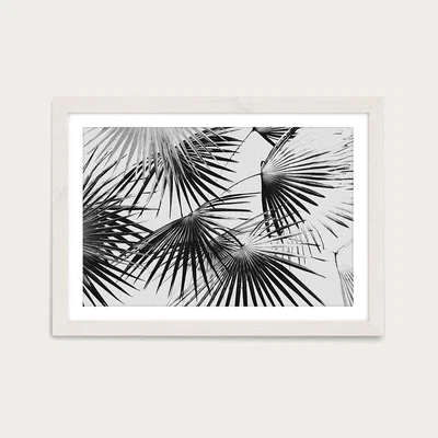 Bombinate.com Tropical No. 5 Art Print White Frame