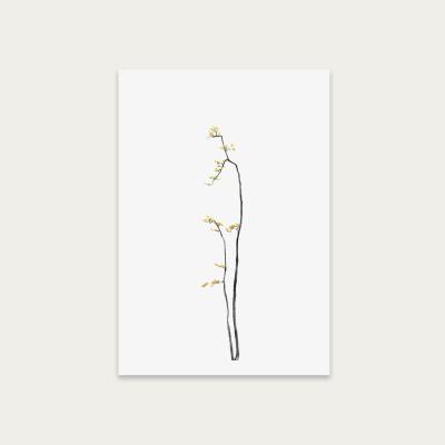 Bombinate.com Bonsai Tree 1 Art Print Unframed