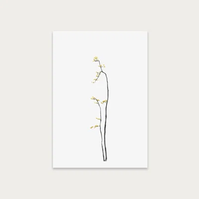 Bombinate.com Bonsai Tree 1 Art Print Unframed