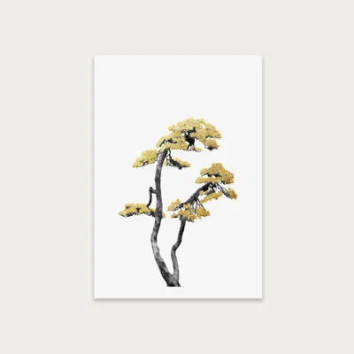 Bombinate.com Bonsai Tree 6 Art Print Unframed
