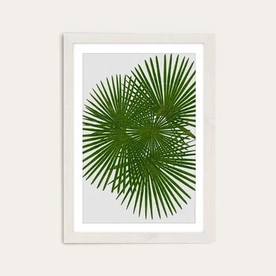 Bombinate.com Fan Palm Art Print White Frame