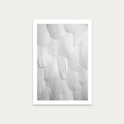 Bombinate.com Soft White Feathers Art Print Unframed