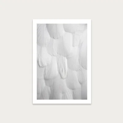 Bombinate.com Soft White Feathers Art Print Unframed